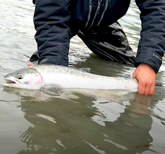 Kenai River Fishing Charters