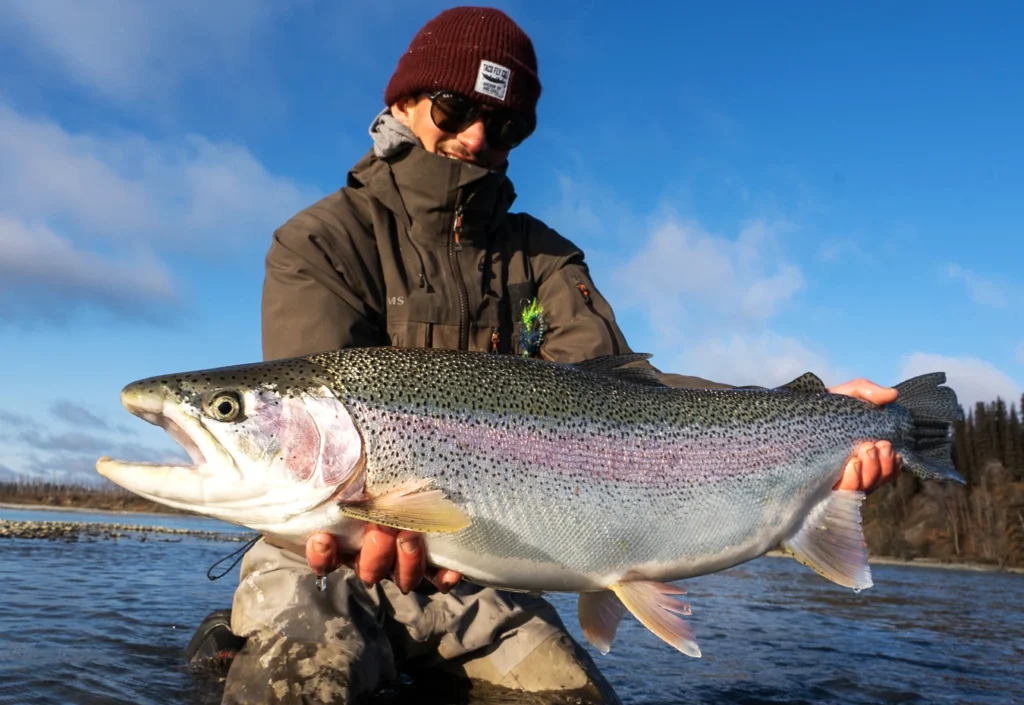 Alaska trout fishing