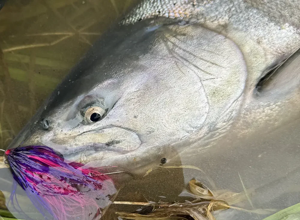 Alaska Fishing Packages