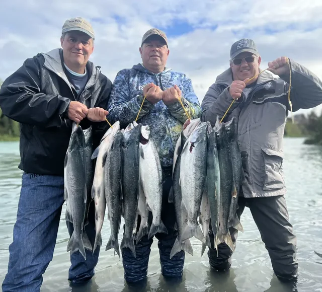 Kenai River sockeye 2